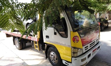 ونش انقاذ دمياط  01008442548